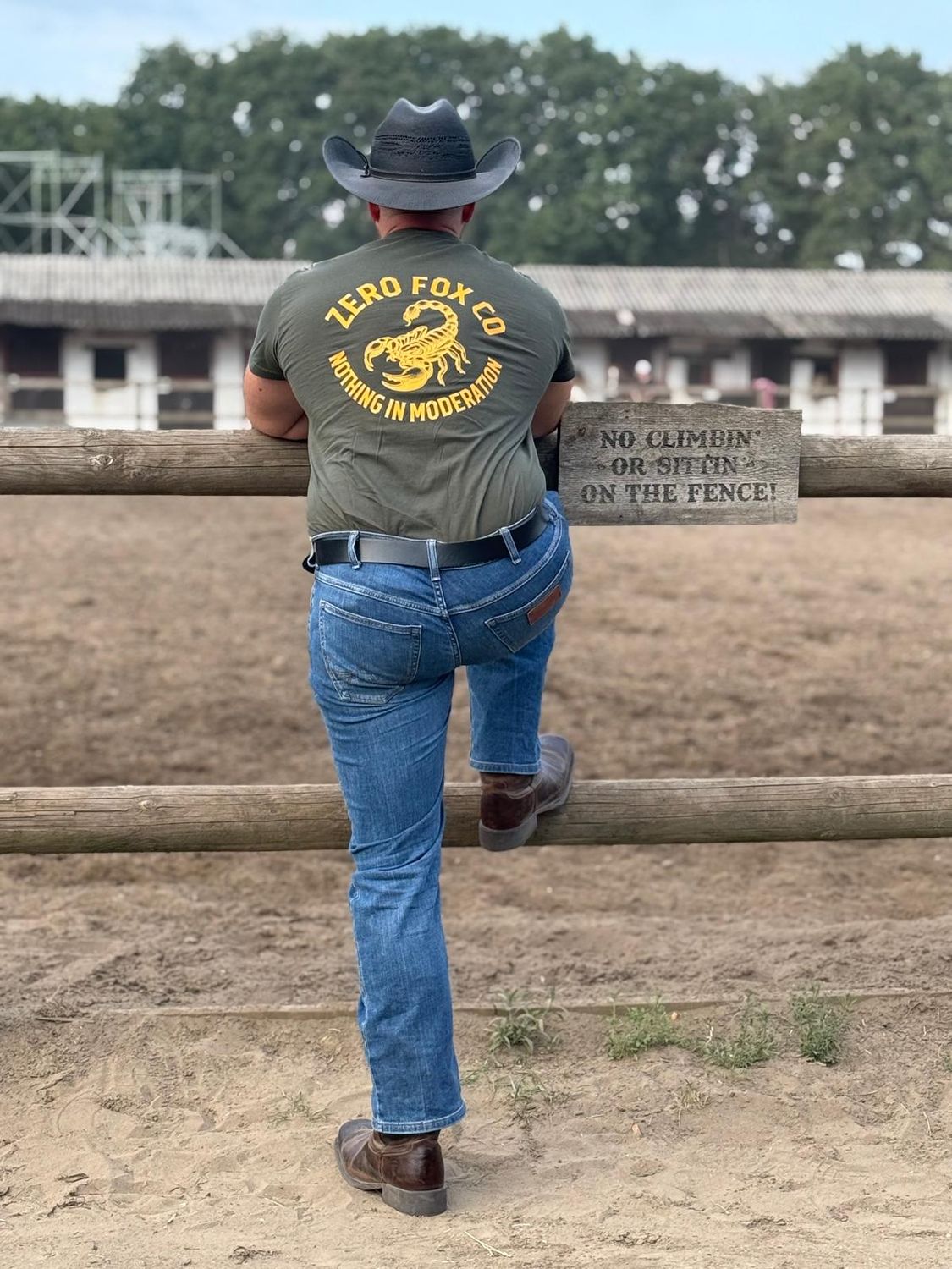 Nothing in moderation