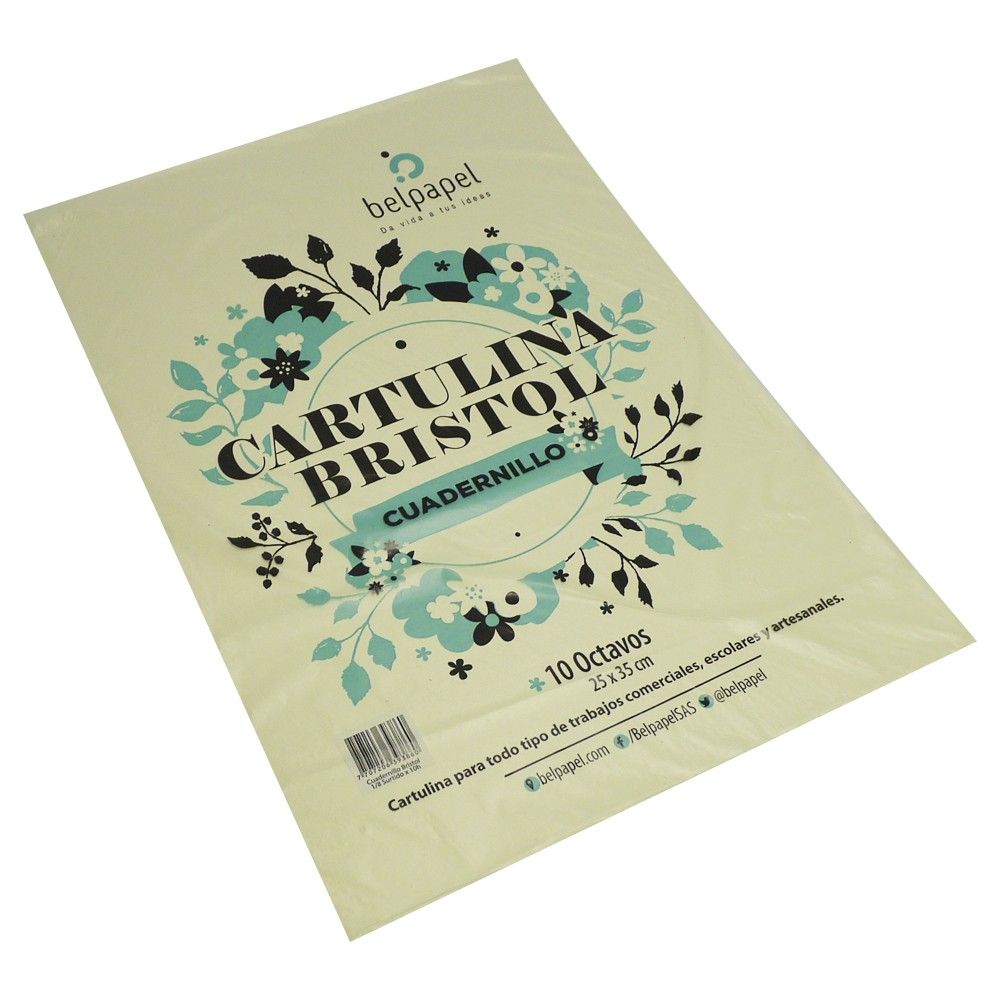 Cartulina Bristol Tamaño 1/8 Surtido x10 und