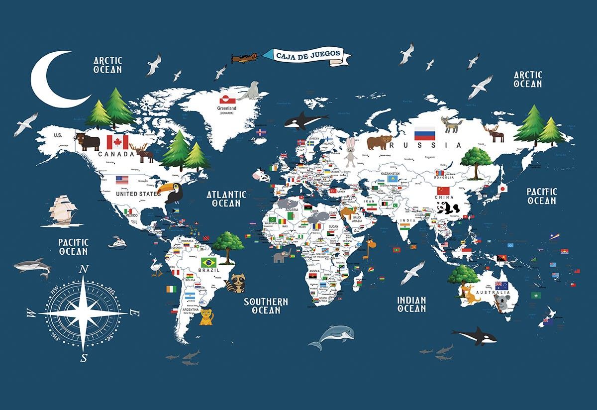 Rompecabezas  Mapa Mundi 1000 Piezas