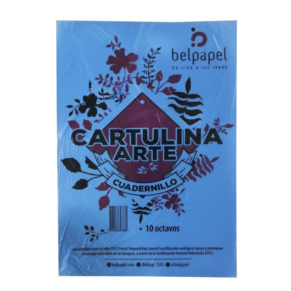 Paquete Cuadernillo Belpapel Cartulina Arte Tamaño 1/8 x10 und