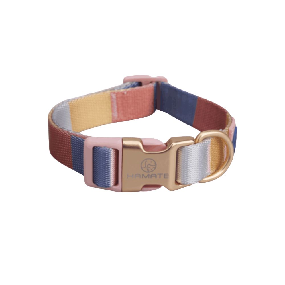 Collar Barra de Colores Talla S