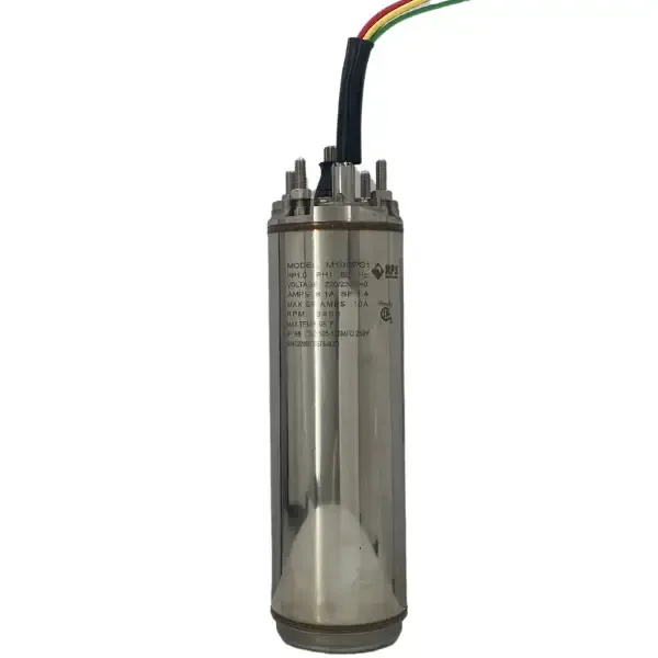 Motor for Submersible Pump