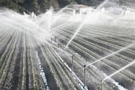 Sprinklers and Nozzles