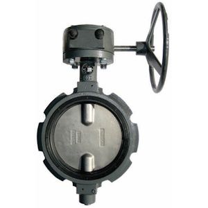 Butterfly Valve Gear Drive