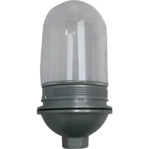 Running Light Globe and Pendant without Bulb