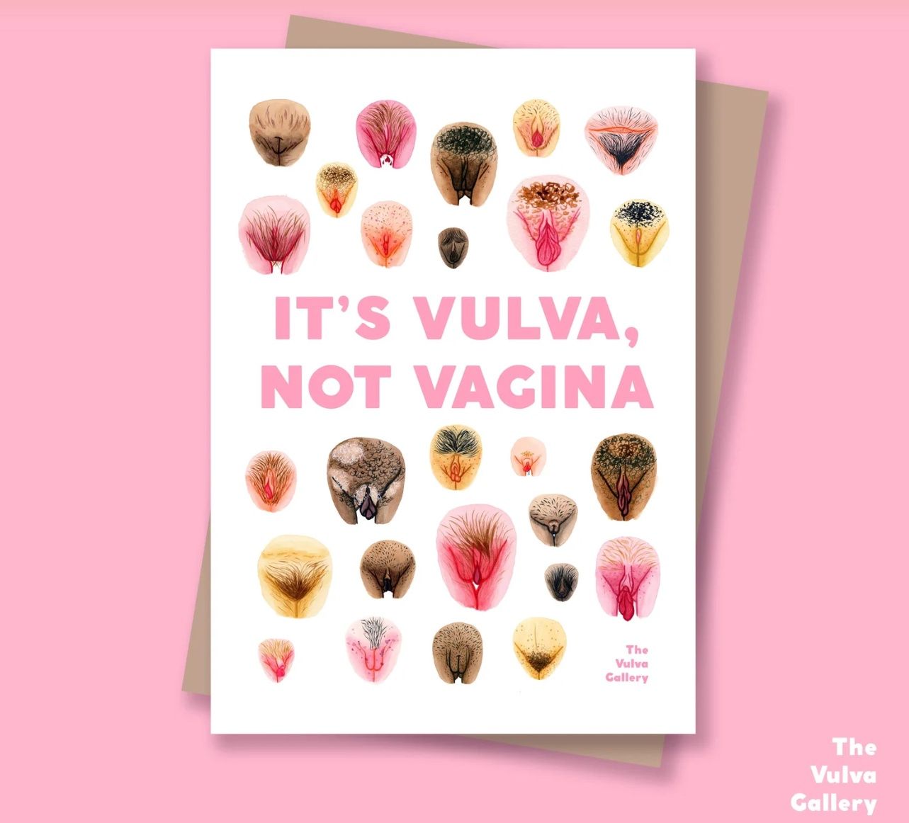 It's Vulva, Not Vagina Postcard