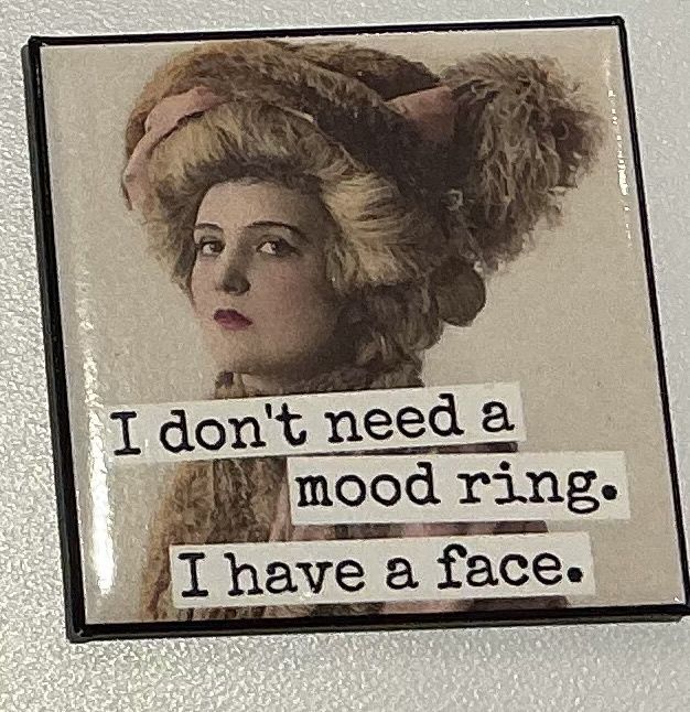 Raven’s Rest Magnet I Don’t Need a Mood Ring