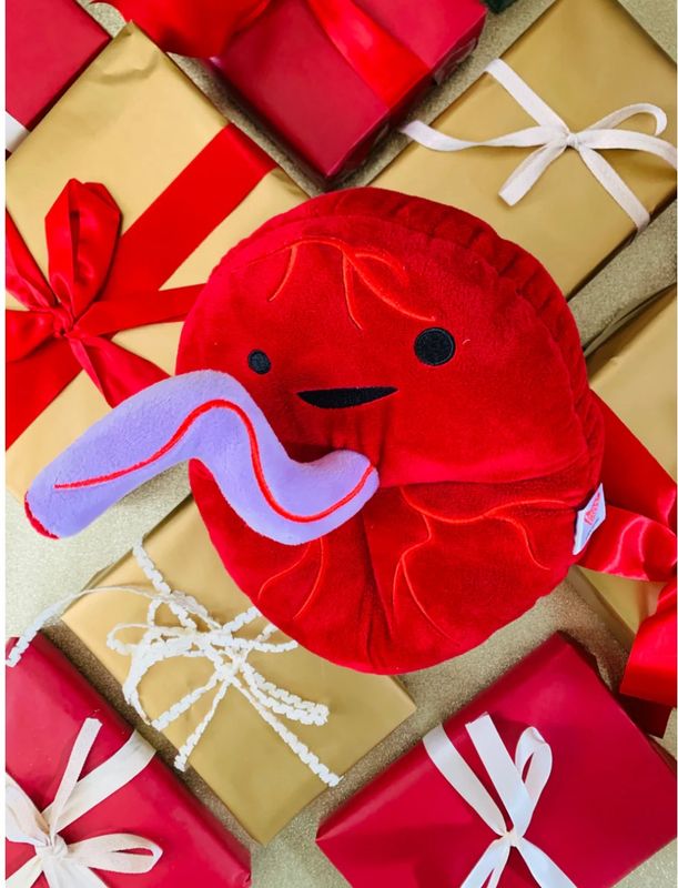 I Heart Guts Baby’s First Roomate Placenta Plush