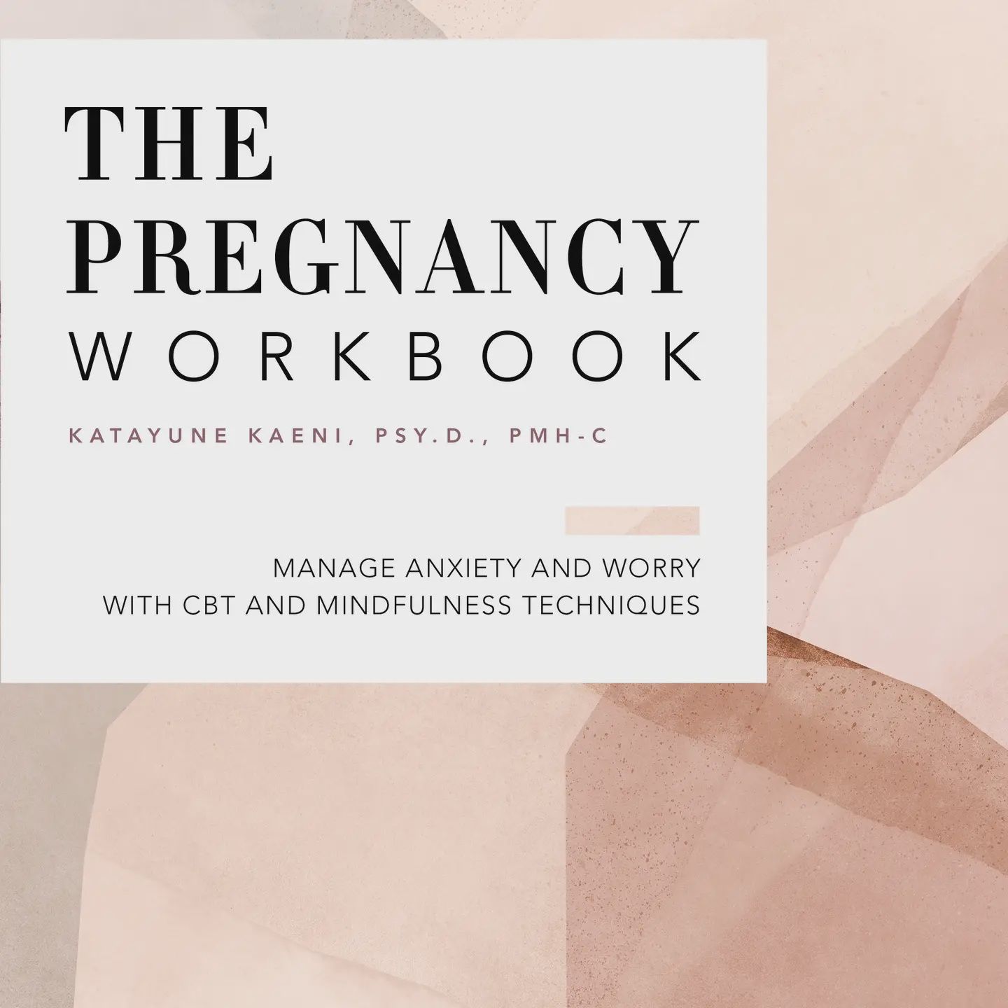 The Pregnancy Workbook