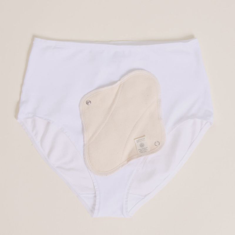 GladRags - Organic Pantyliner Plus 1 Pack - No Color