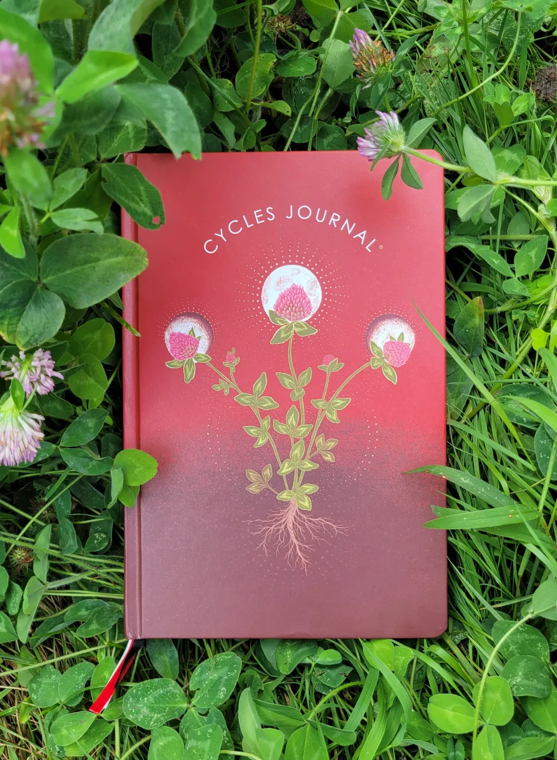 Cycles Journal: Undated Period Tracker