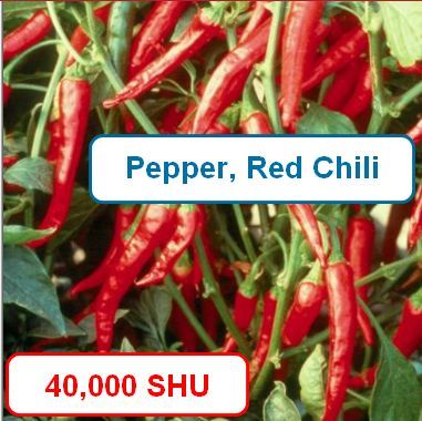 Pepper, Red Chili