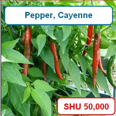 Pepper, Cayenne