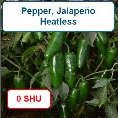 Pepper, Jalapeño (heatless)