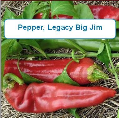 Pepper, Legacy Big Jim