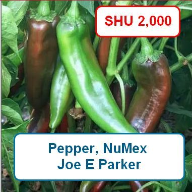 Pepper, NuMex Joe E Parker