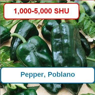 Pepper, Poblano