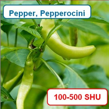 Pepper, Peperoncini