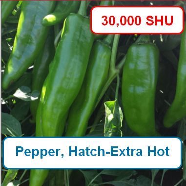 Pepper, Hatch-Extra Hot