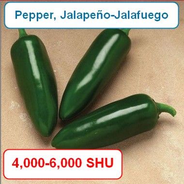 Pepper, Jalapeño-Jalafuego