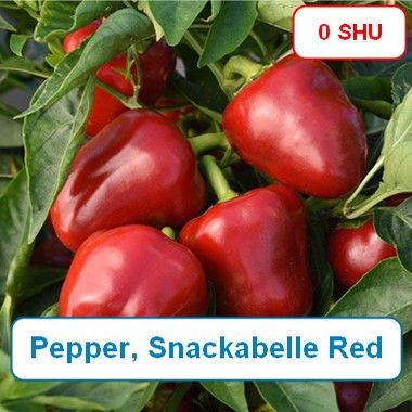 Pepper, Snackabelle Red