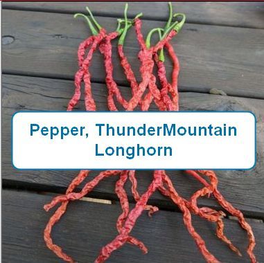 Pepper, Thunder Mountain