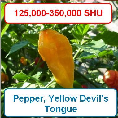 Pepper, Yellow Devils tongue