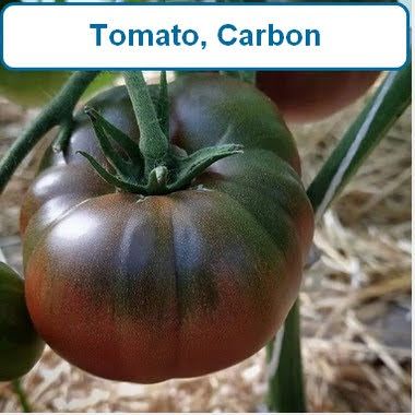 Tomato, Carbon