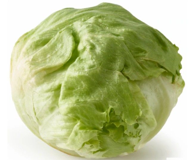 Head Lettuce