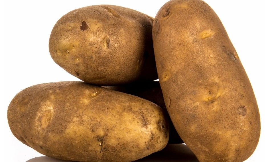 Baker Potato ~ Large