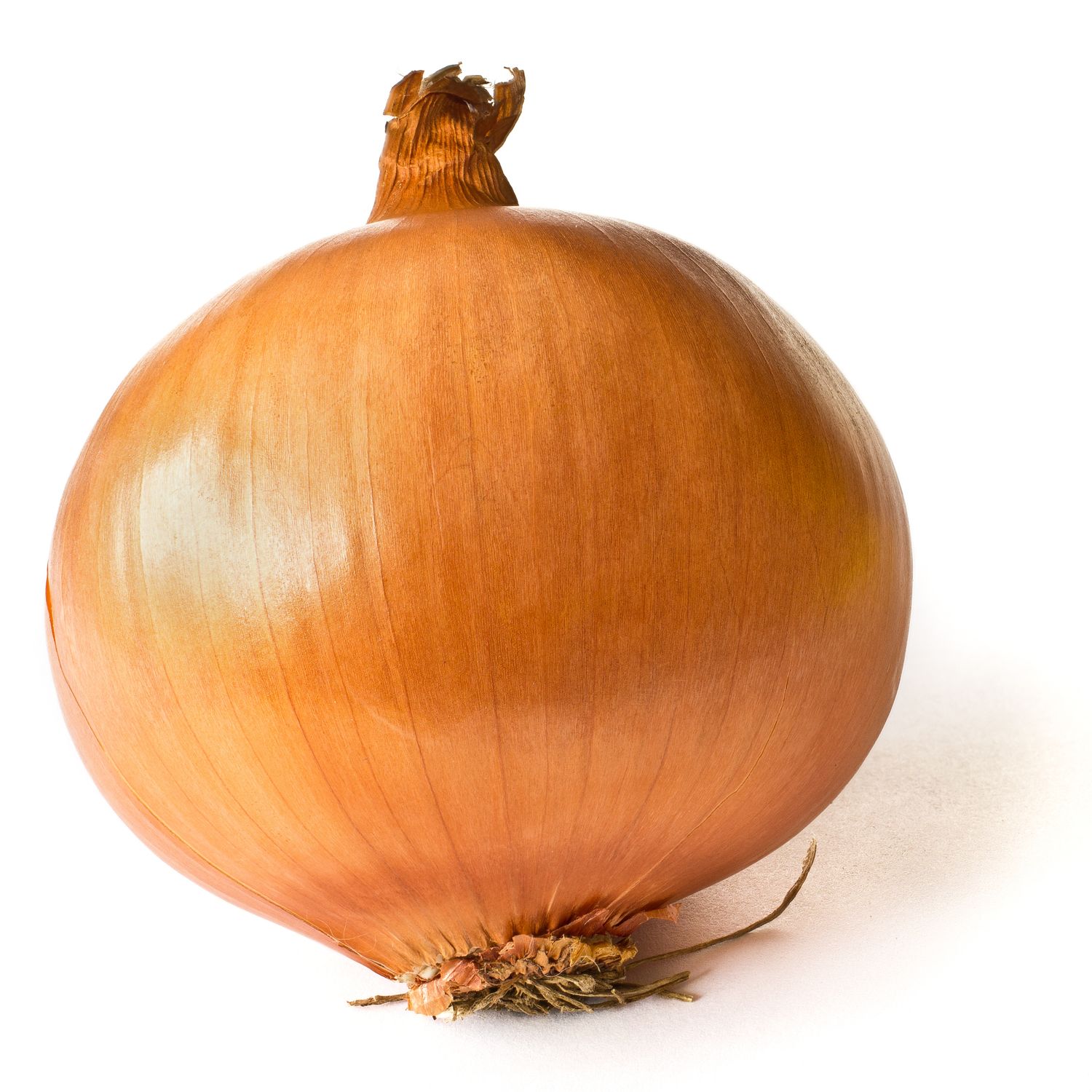 Fresh Whole Yellow Onion, Priced Each