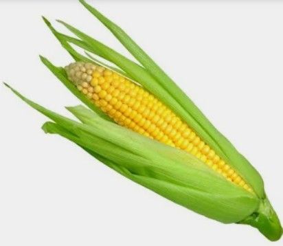Corn On Cob