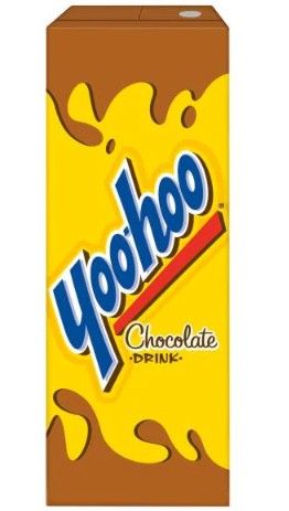 CHOCOLATE YOOHOO DRINK PINT