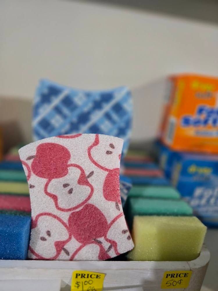 ONE LARGE SPONGE 3X5 VARIETY