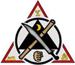 Filipino Martial Arts Program MMA-FMA-EFT
