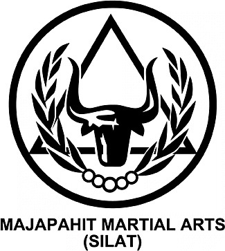 Mixed Martial Arts Program