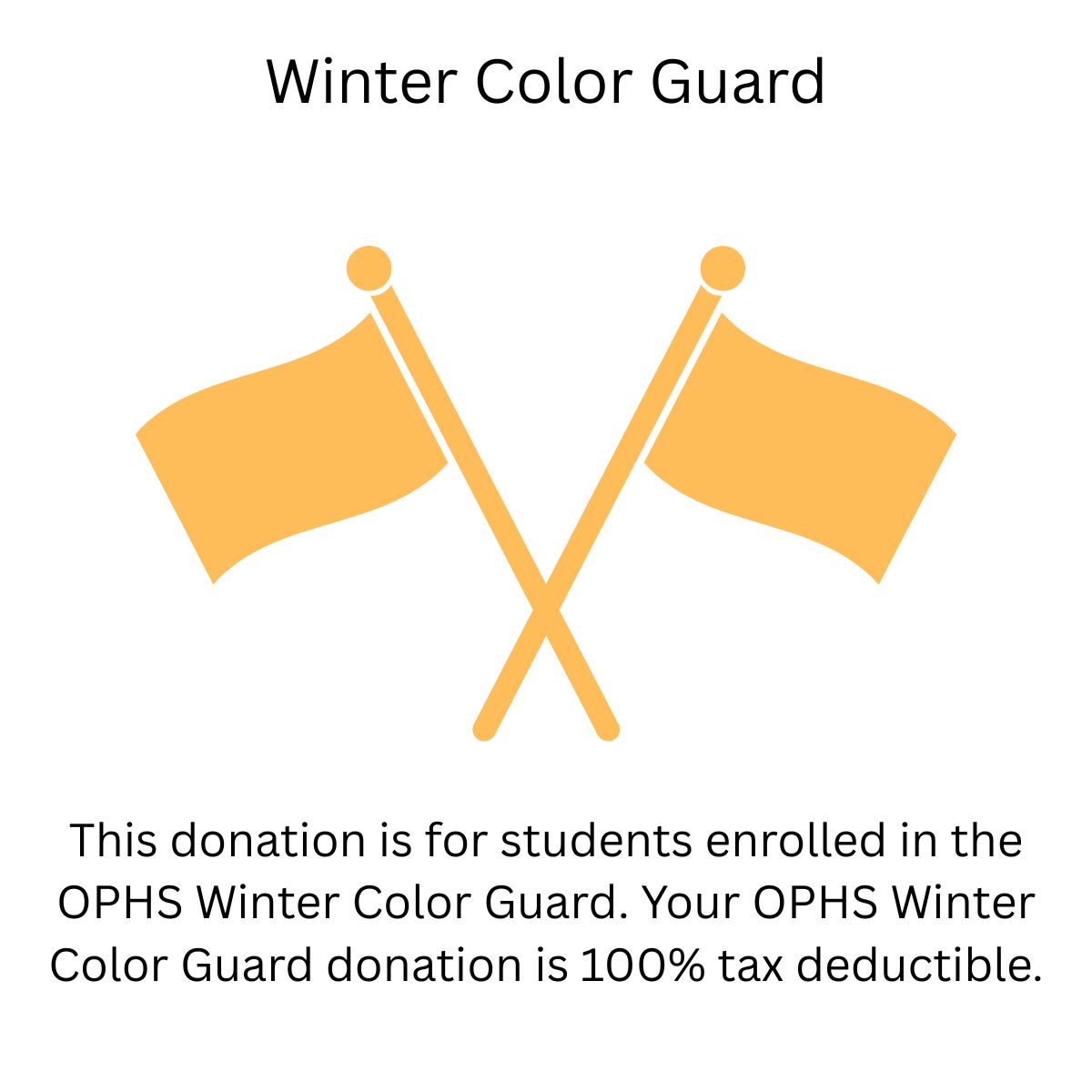 Winter Color Guard