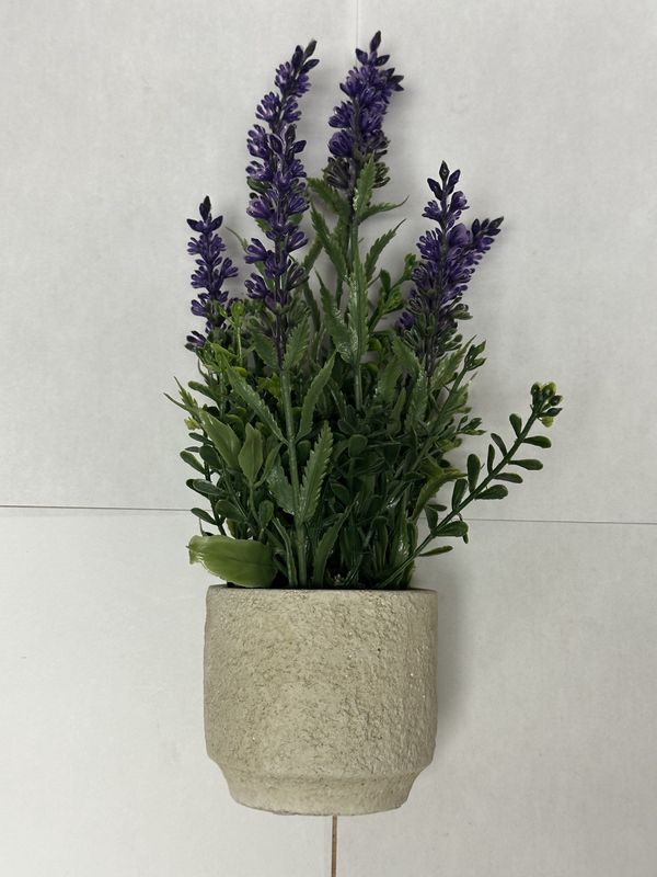 Forever Plant - Lavendar - Small