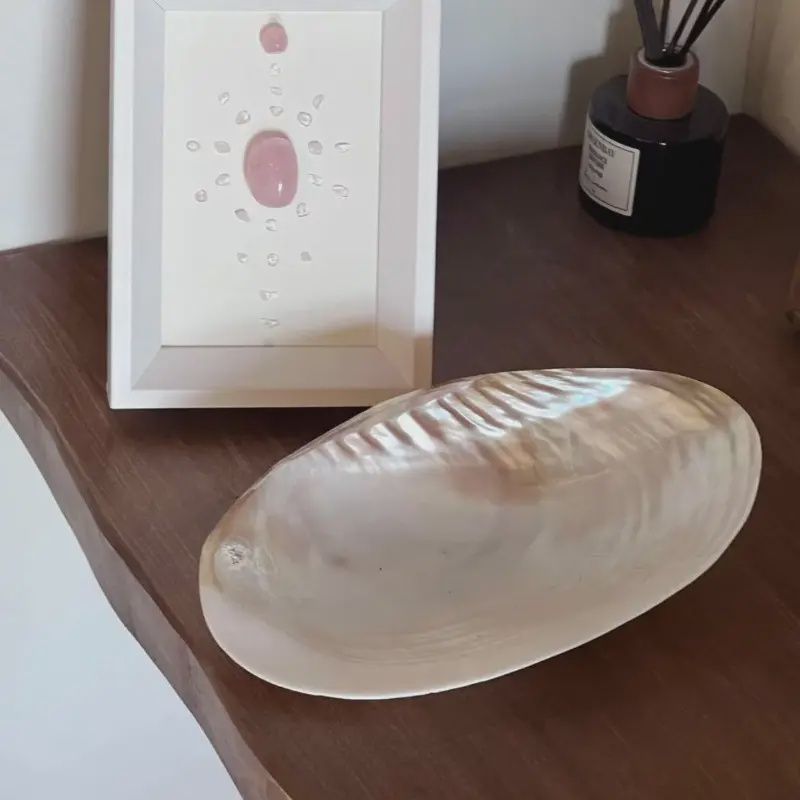 Extra Large Pearlescent Shell Plate