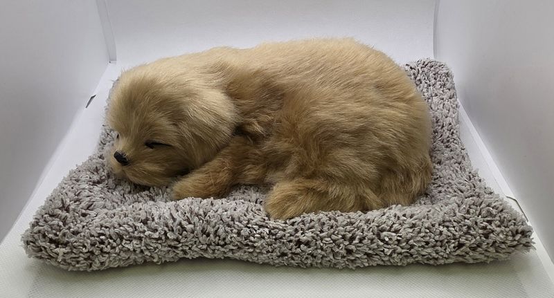 Sleeping Dog Car de-odourizer