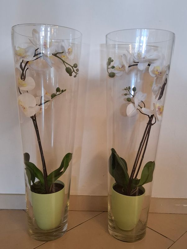 2 glazen vazen met 2 kunst orchideeën - 70 cm