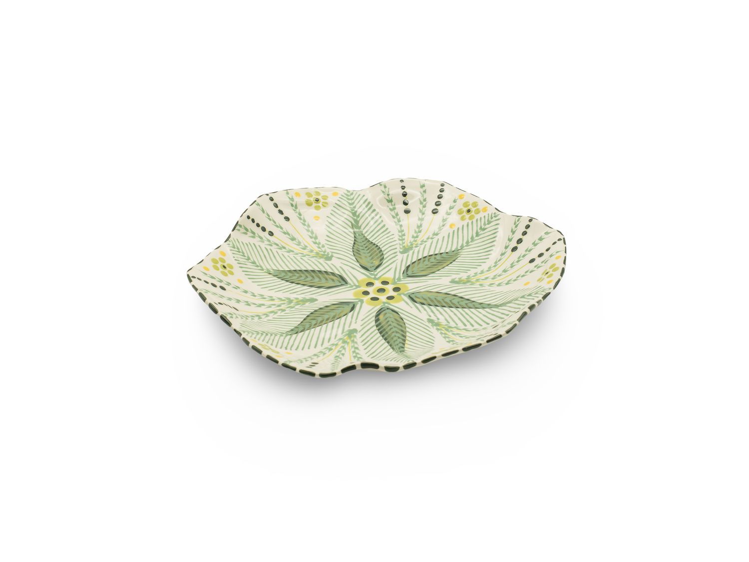 Dinner Plate Tulip L