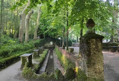 LA FONT DE LA MOIXINA