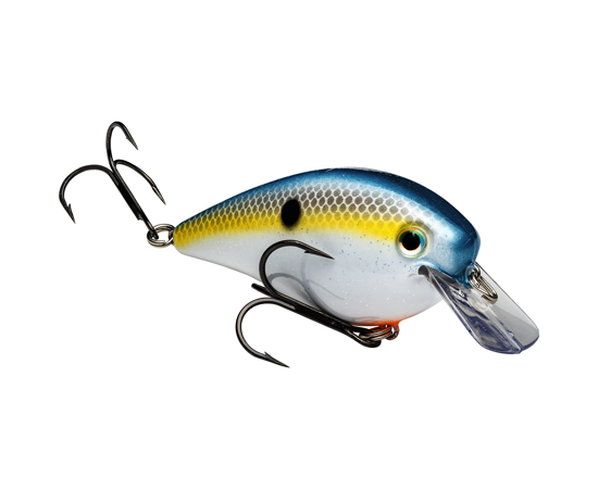 2.5 Sexy Shad