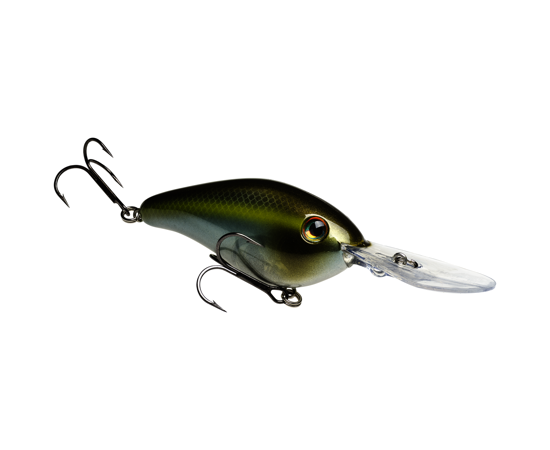 6XD Summer Sexy Shad