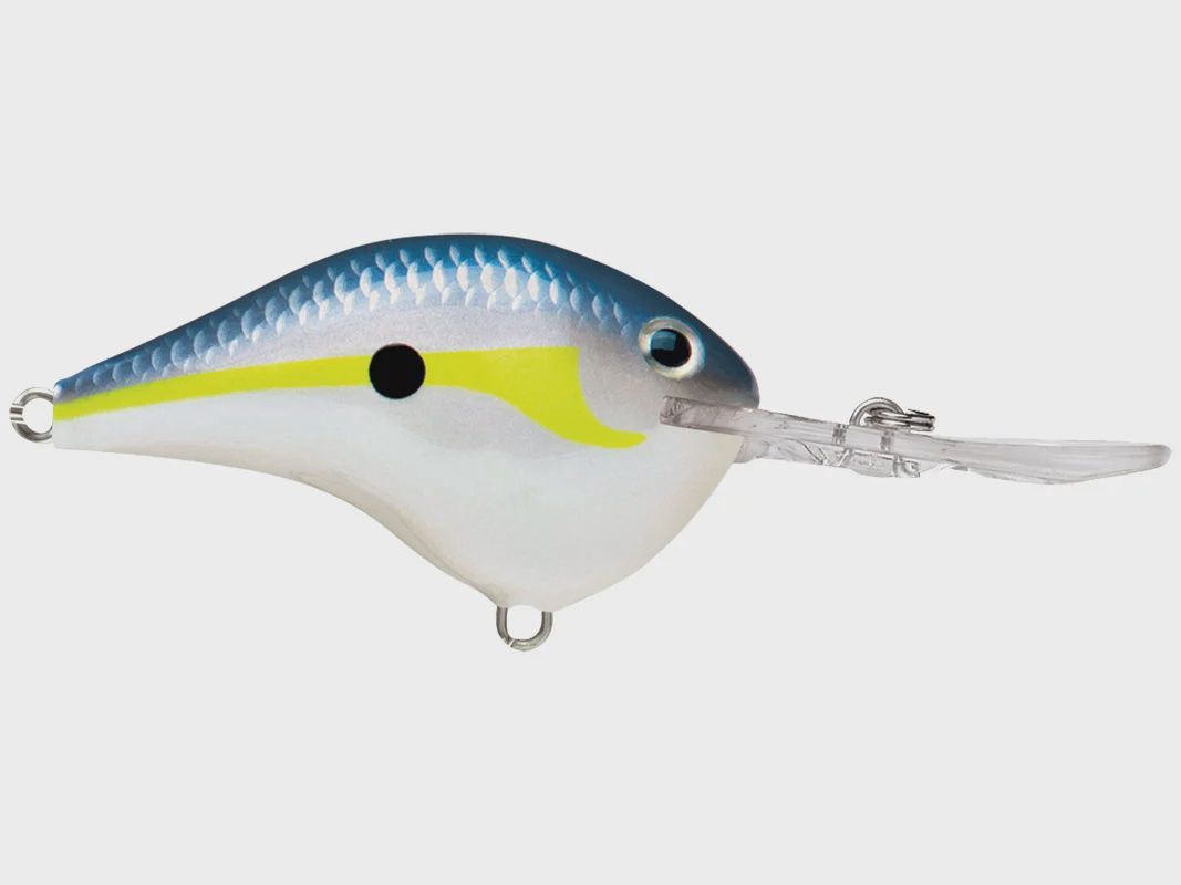 DT14 Helsinki Shad