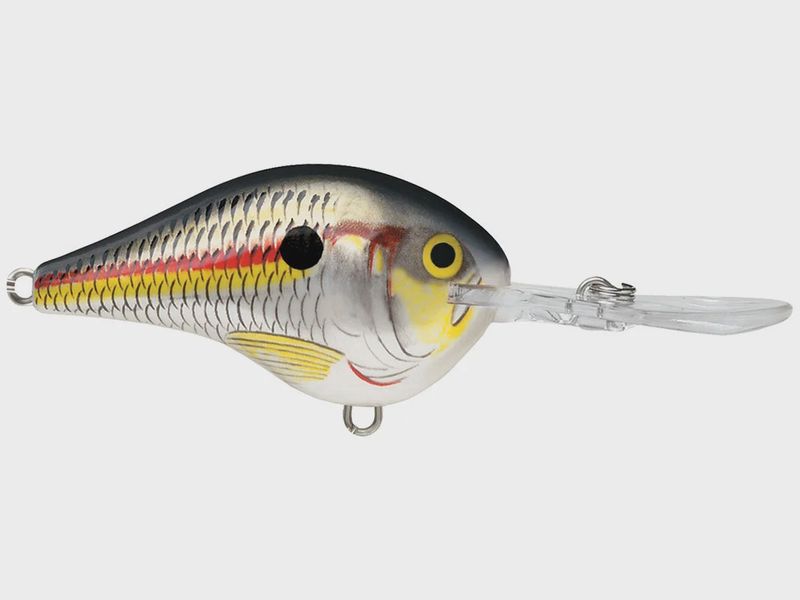 DT14 Shad