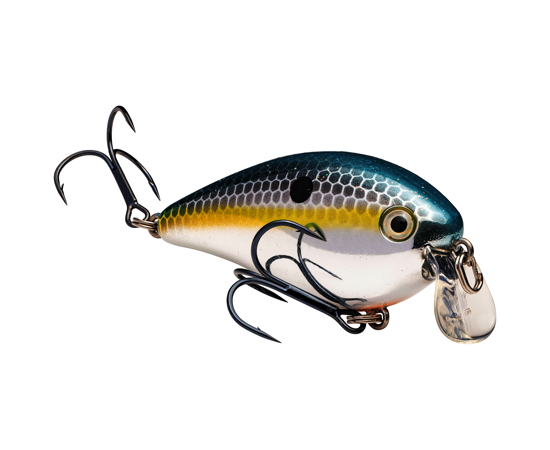 1.5 Shallow Chrome Sexy Shad