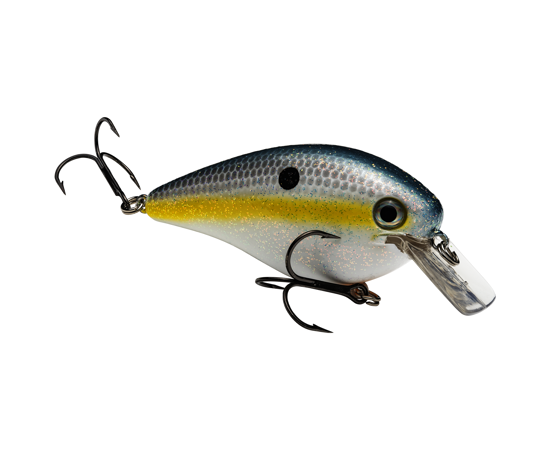 8.0 Sexy Shad