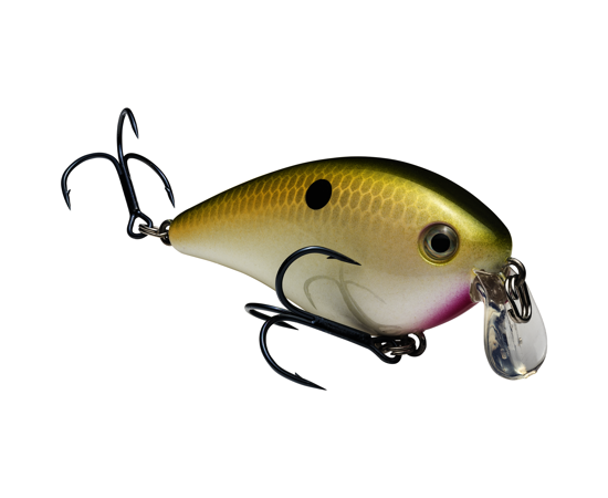 1.5 Shallow TN Shad